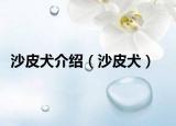 沙皮犬介绍（沙皮犬）