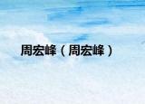 周宏峰（周宏峰）