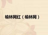榆林网红（榆林网）