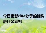 今日更新dna分子的结构是什么结构