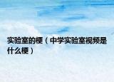 实验室的梗（中学实验室视频是什么梗）
