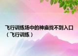 飞行训练场中的神庙找不到入口（飞行训练）