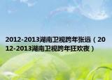 2012-2013湖南卫视跨年张远（2012-2013湖南卫视跨年狂欢夜）