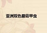 亚洲双色蘑菇甲虫