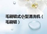 毛刷辊式小型清洗机（毛刷辊）
