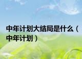 中年计划大结局是什么（中年计划）