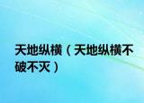 天地纵横（天地纵横不破不灭）