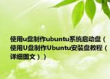 使用u盘制作ubuntu系统启动盘（使用U盘制作Ubuntu安装盘教程（详细图文））