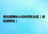 很纯很暧昧小说免费听全集（很纯很萌哒）