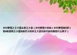 乡村爱情之王小蒙去看王大拿（乡村爱情小夜曲（乡村爱情第5部）第6集里面王小蒙的粉色手机和王大拿玩的平板电脑是什么牌子）