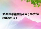 300266股票最新点评（300266股票怎么样）
