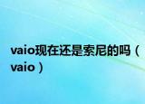 vaio现在还是索尼的吗（vaio）