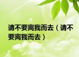 请不要离我而去（请不要离我而去）