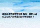 黑龙江省大海林林业局 概况（黑龙江省森工总局大海林重点国有林管理局）