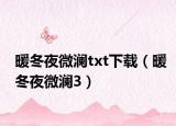 暖冬夜微澜txt下载（暖冬夜微澜3）
