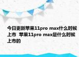 今日更新苹果11pro max什么时候上市  苹果11pro max是什么时候上市的