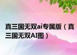 真三国无双ai专属版（真三国无双AI图）
