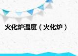 火化炉温度（火化炉）