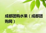 成都团购水果（成都团购网）