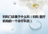 妇科门诊属于什么科（妇科 医疗机构的一个诊疗科目）
