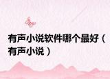 有声小说软件哪个最好（有声小说）