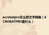acrobatpro怎么把文字转曲（ACROBATPRO是什么）