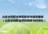 山东水利职业学院软件与信息服务（山东水利职业学院教务与科研处）