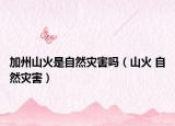加州山火是自然灾害吗（山火 自然灾害）
