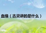 血缘（古灵讲的是什么）