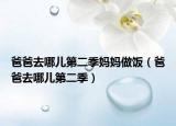 爸爸去哪儿第二季妈妈做饭（爸爸去哪儿第二季）