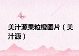 美汁源果粒橙图片（美汁源）