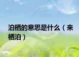 泊栖的意思是什么（来栖泊）