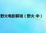 野火电影解说（野火 中）