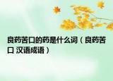 良药苦口的药是什么词（良药苦口 汉语成语）