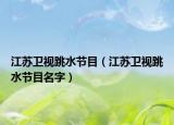 江苏卫视跳水节目（江苏卫视跳水节目名字）