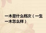 一木是什么档次（一生一木怎么样）