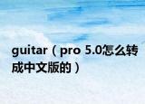 guitar（pro 5.0怎么转成中文版的）