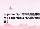 opporeno5pro怎么设置语音助手（opporeno5pro怎么设置静音）