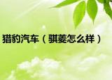 猎豹汽车（骐菱怎么样）