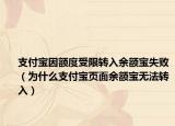 支付宝因额度受限转入余额宝失败（为什么支付宝页面余额宝无法转入）
