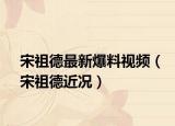 宋祖德最新爆料视频（宋祖德近况）