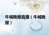 牛城晚报直播（牛城晚报）