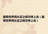 魔兽世界侍从官之肩怎样上去（魔兽世界侍从官之肩怎样上去）