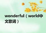 wonderful（world中文歌词）