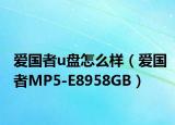 爱国者u盘怎么样（爱国者MP5-E8958GB）
