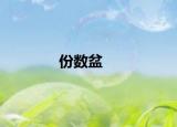 份数盆