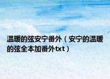 温暖的弦安宁番外（安宁的温暖的弦全本加番外txt）