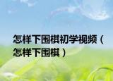 怎样下围棋初学视频（怎样下围棋）