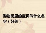 购物街里的宝贝叫什么名字（好美）