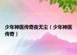 少年神医传奇夜无尘（少年神医传奇）